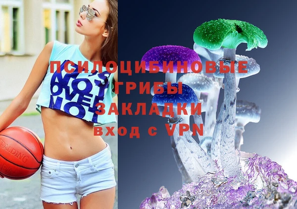 дживик Михайловка