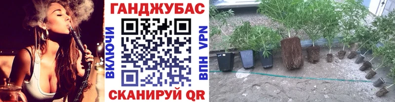 Каннабис White Widow  Енисейск 